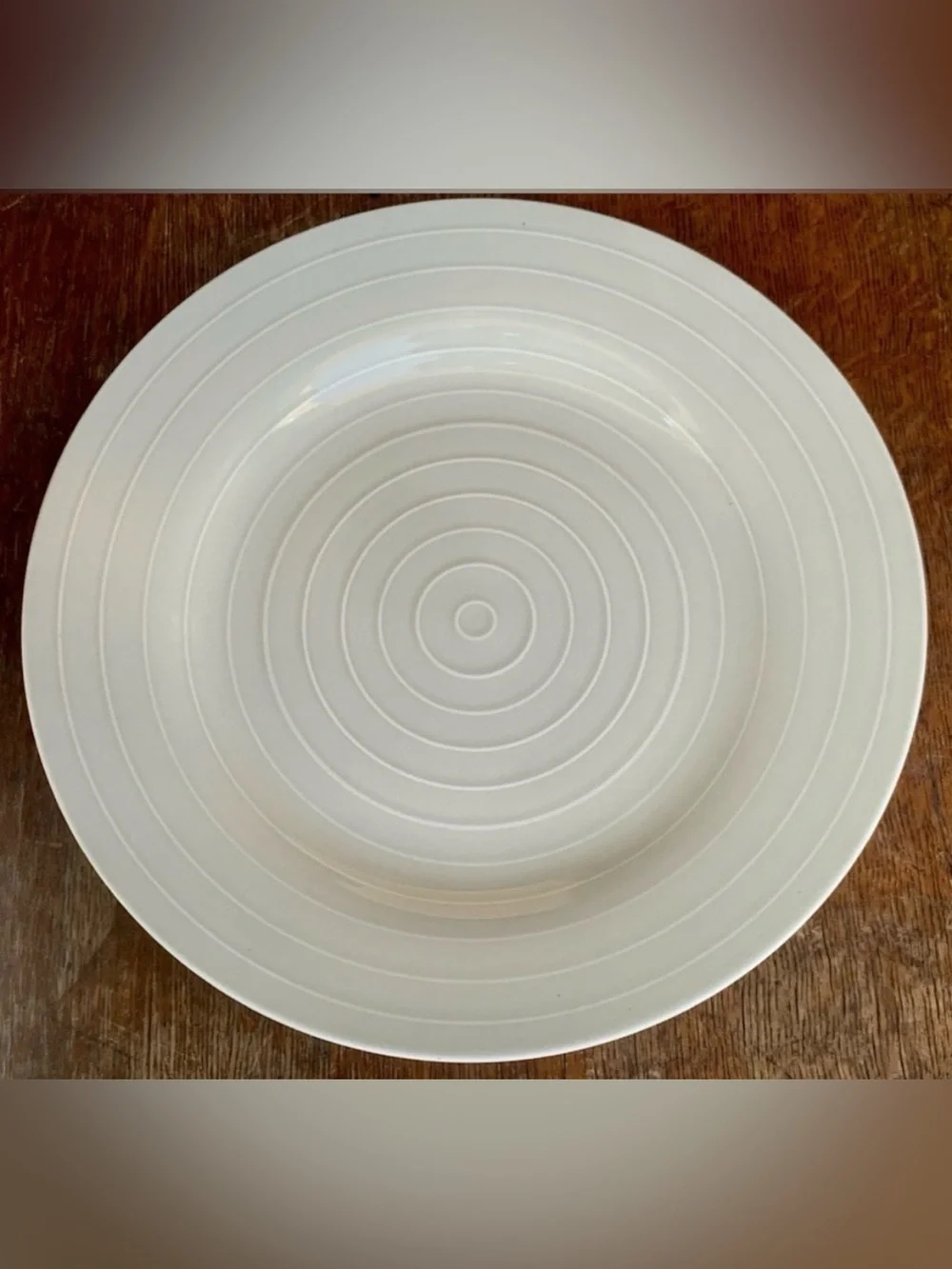 Anna Nilsson IKEA 365 Beige Taupe Concentric Ringed 12.75” Plate
